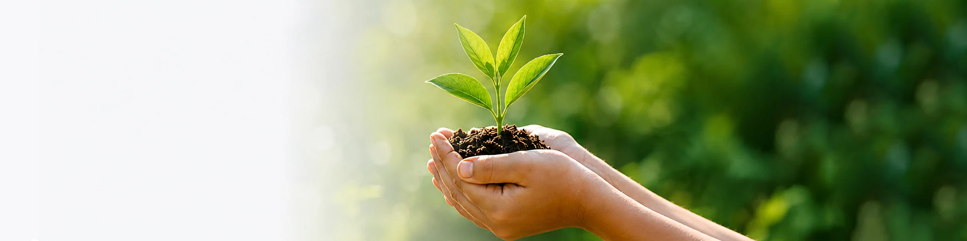 Sustainable growth